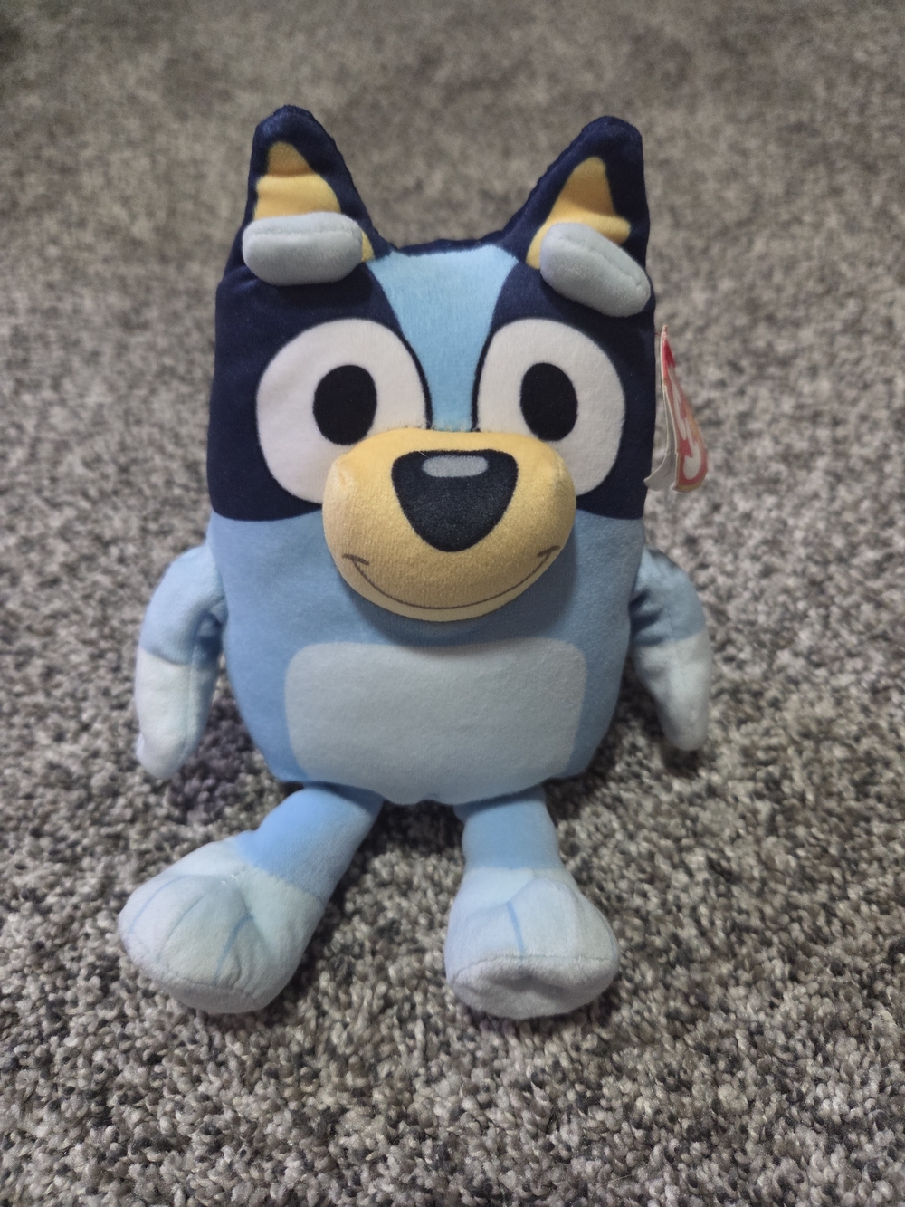 TY Beanie Baby - BLUEY (Soft Body - 7.5 inch) - NWT